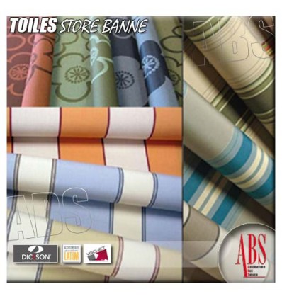 Toiles et coloris Dickson store banne