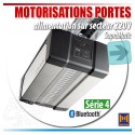 Moteur et accessoires de portes de garage box